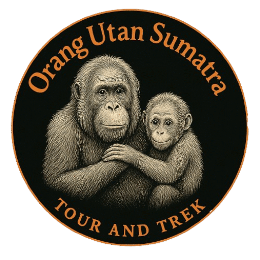 cropped-Orangutan_Sumatra_Tour_And_Trek