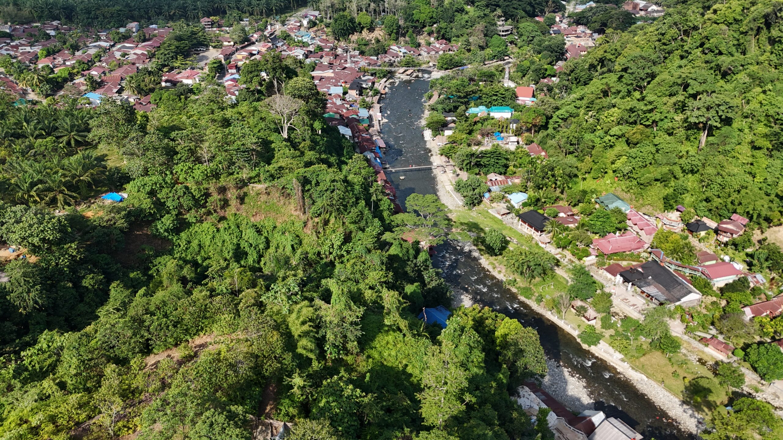 Bukit Lawang