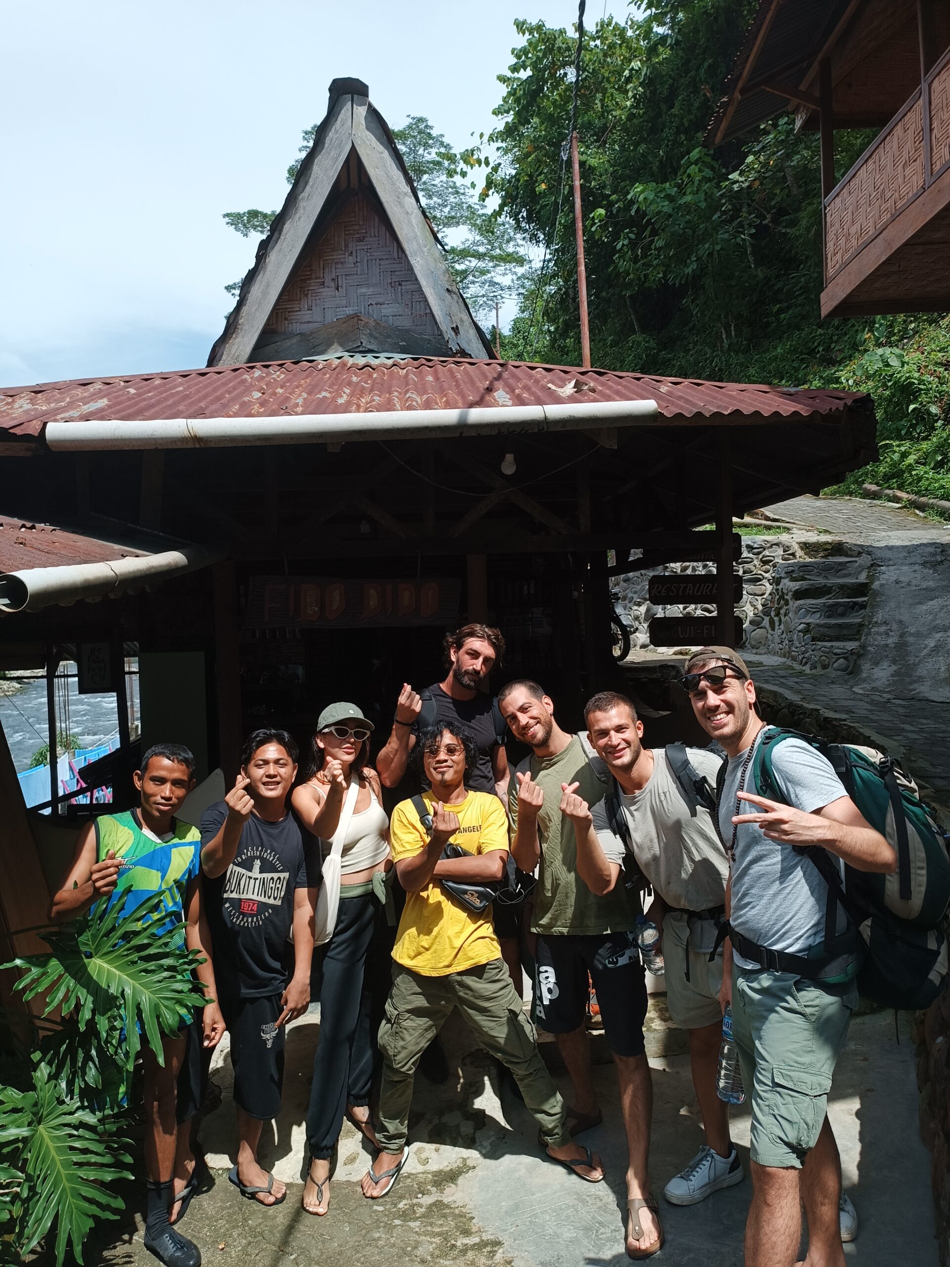 Orangutan Sumatra Gallery