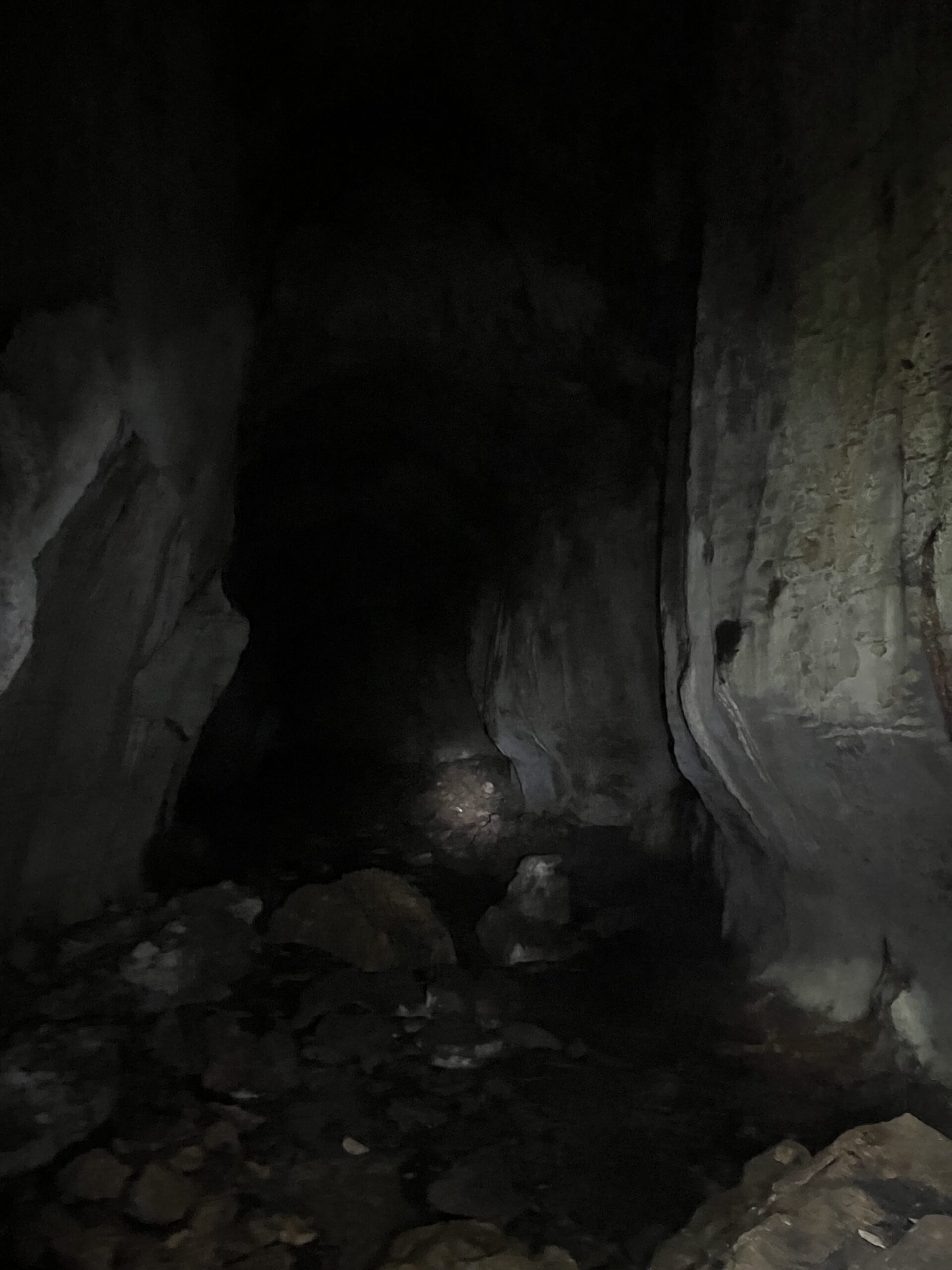 Bat Cave