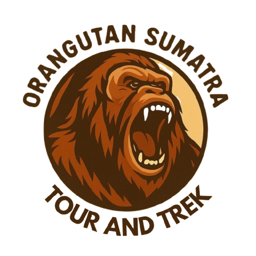 Orangutan Sumatra Tour And Trek